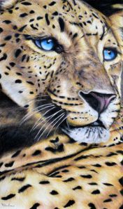 Voir le détail de cette oeuvre: Regard de léopard