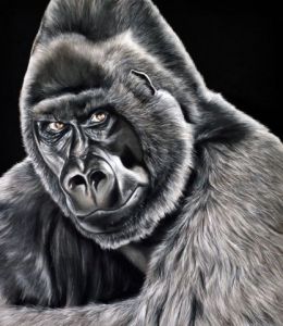 Voir le détail de cette oeuvre: Gorille des montagnes